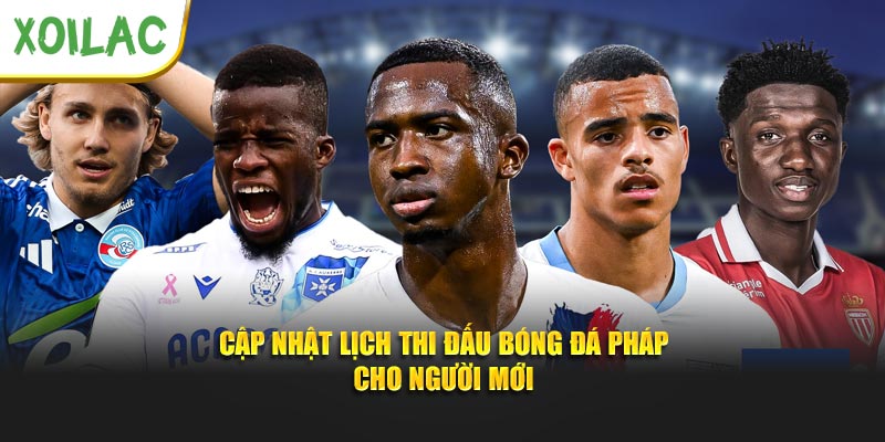 Cập nhật lịch thi đấu bóng đá Pháp cho người mới