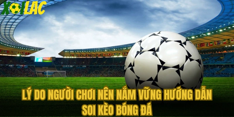 Lý do người chơi nên nắm vững hướng dẫn soi kèo bóng đá